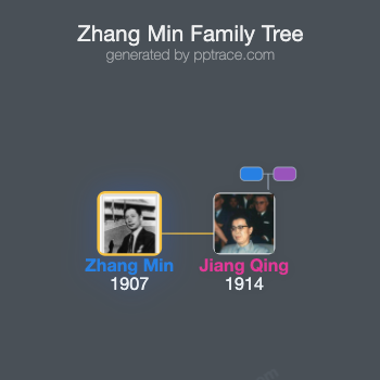 Zhang Min family tree overview