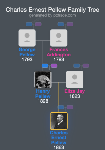 Charles Ernest Pellew family tree overview