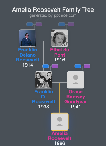 Amelia Roosevelt family tree overview