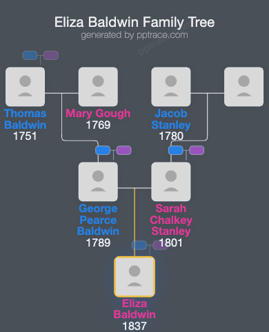 Eliza Baldwin family tree overview
