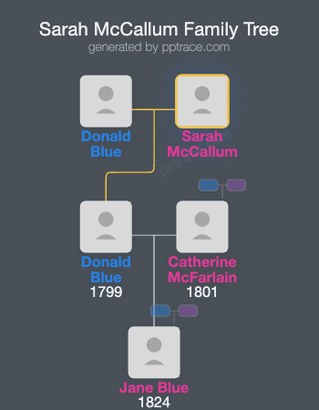 Sarah McCallum family tree overview