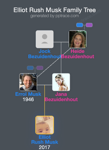 Elliot Rush Musk family tree overview