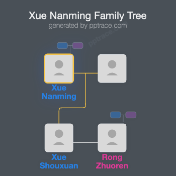 Xue Nanming family tree overview