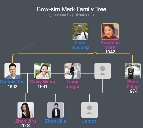 Bow-sim Mark family tree overview