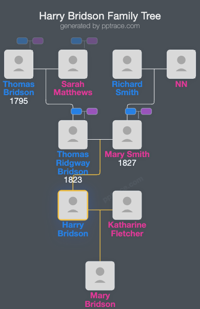 Harry Bridson family tree overview