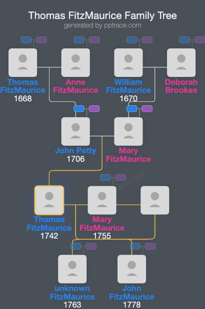 Thomas FitzMaurice family tree overview