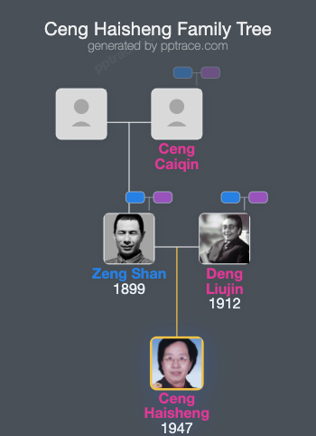 Ceng Haisheng family tree overview
