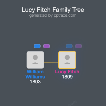 Lucy Fitch family tree overview