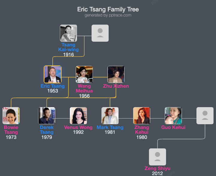 Eric Tsang family tree overview