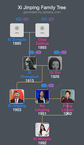 Xi Jinping family tree overview