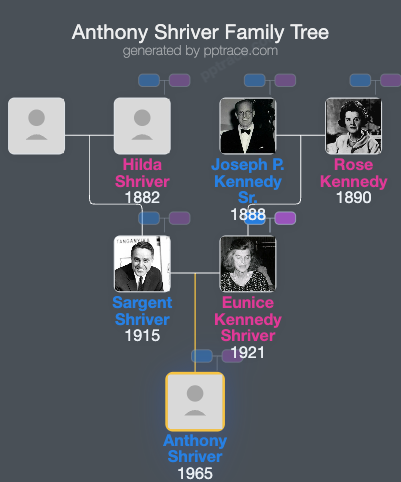 Anthony Shriver family tree overview