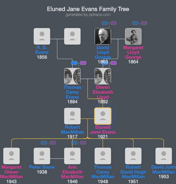 Eluned Jane Evans family tree overview