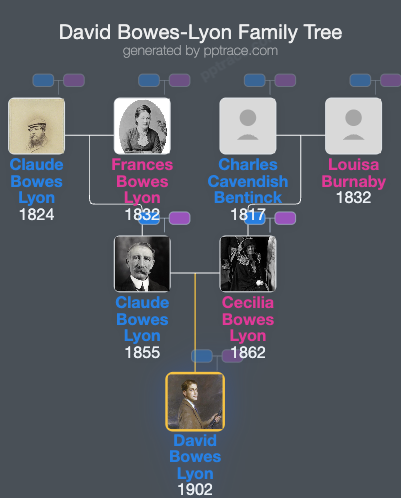 David Bowes-Lyon family tree overview