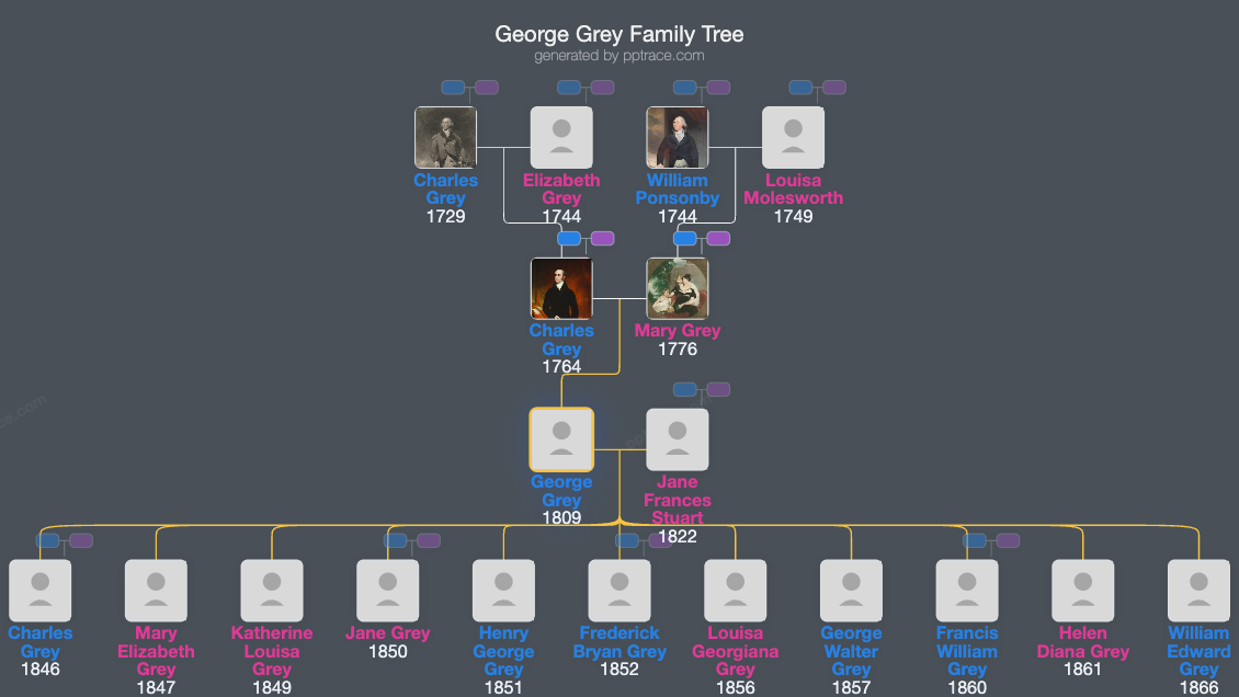 George Grey family tree overview
