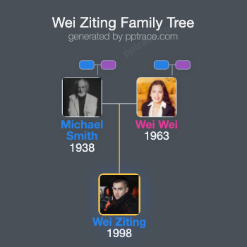 Wei Ziting family tree overview