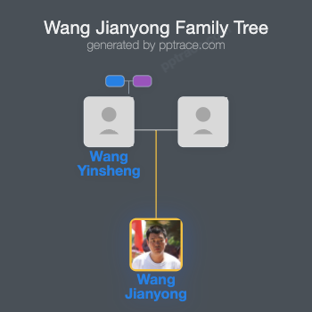 Wang Jianyong family tree overview