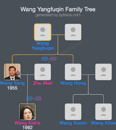 Wang Yangfuqin family tree overview