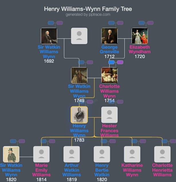 Henry Williams-Wynn family tree overview