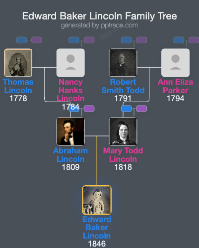 Edward Baker Lincoln family tree overview