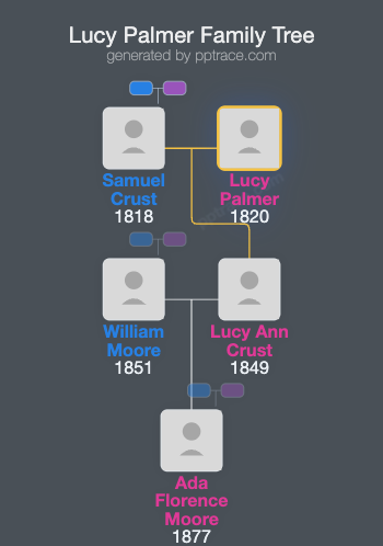 Lucy Palmer family tree overview