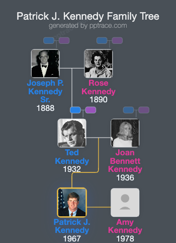 Patrick J. Kennedy family tree overview