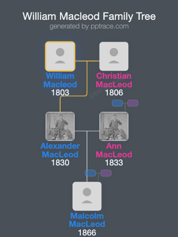 William Macleod family tree overview