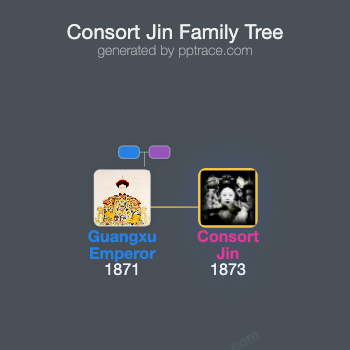 Consort Jin family tree overview