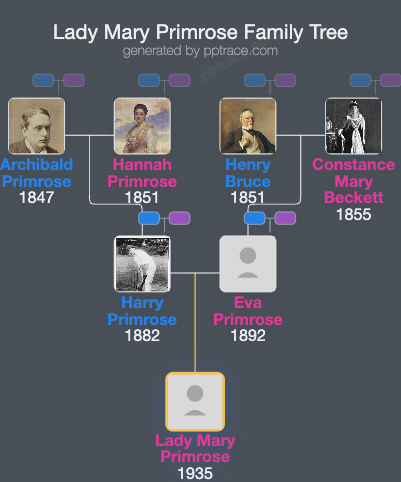 Lady Mary Primrose family tree overview