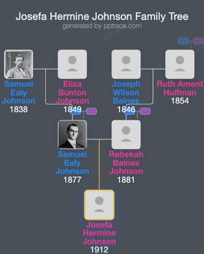 Josefa Hermine Johnson family tree overview