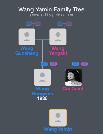 Wang Yamin family tree overview