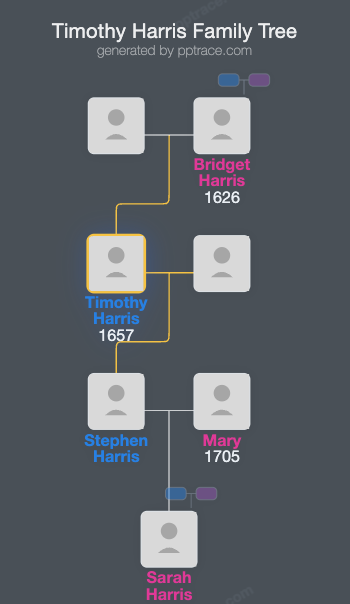 Timothy Harris family tree overview