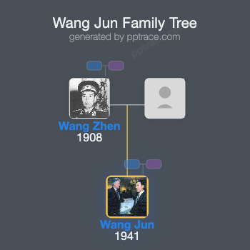 Wang Jun family tree overview