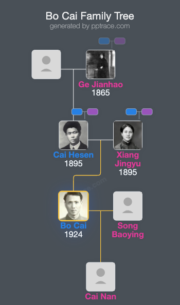 Bo Cai family tree overview