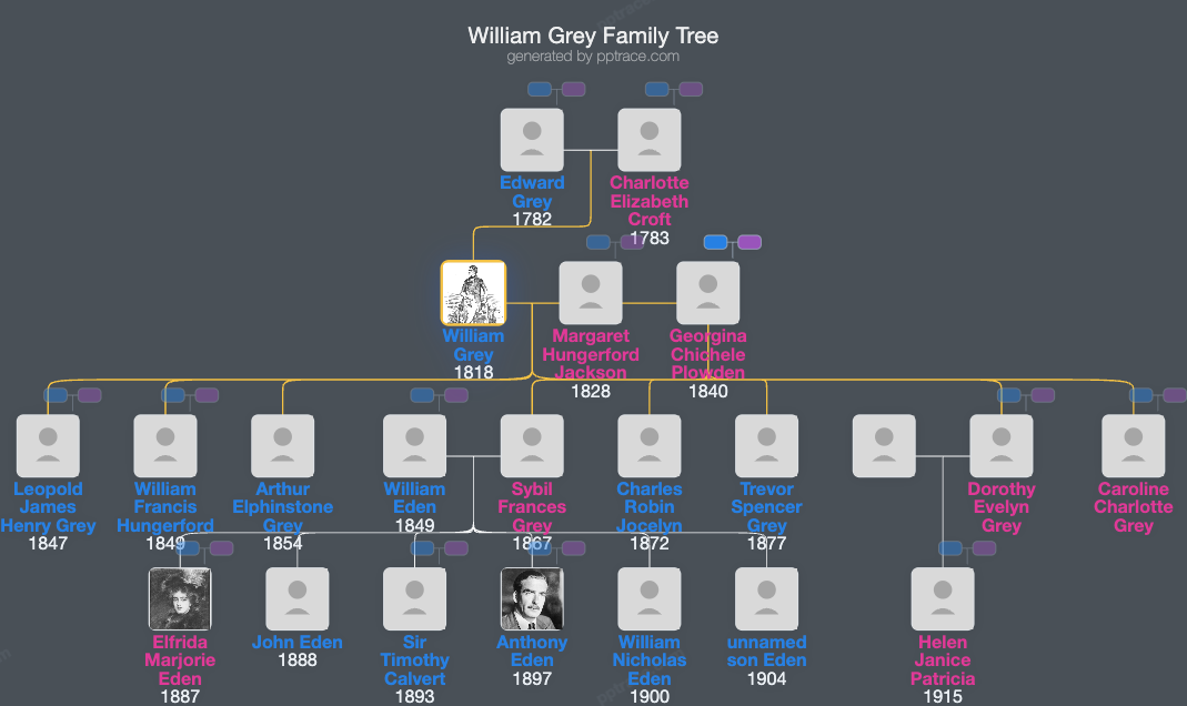 William Grey family tree overview
