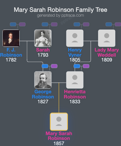Mary Sarah Robinson family tree overview