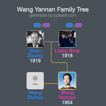 Wang Yannan family tree overview