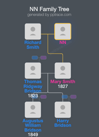 NN family tree overview