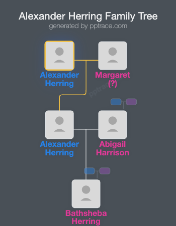Alexander Herring family tree overview