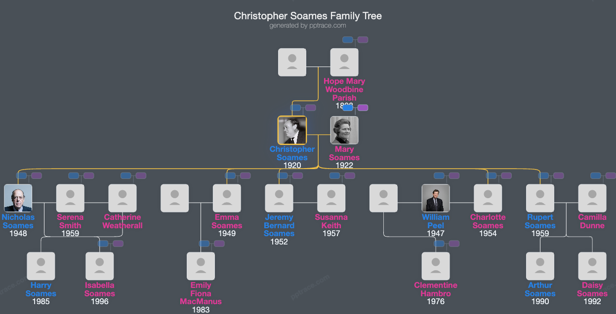 Christopher Soames family tree overview