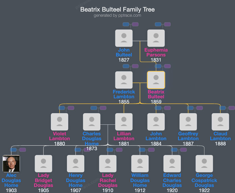 Beatrix Bulteel family tree overview