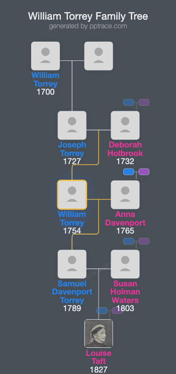 William Torrey family tree overview