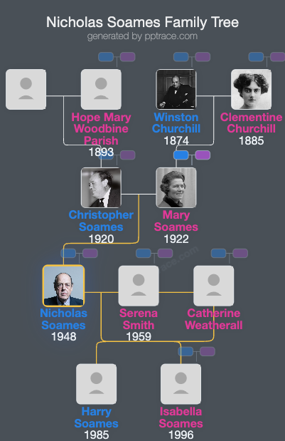 Nicholas Soames family tree overview