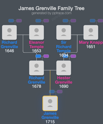 James Grenville family tree overview