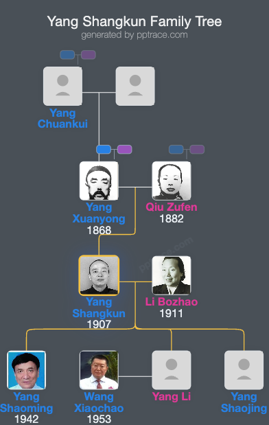 Yang Shangkun family tree overview