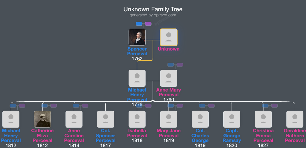 Unknown family tree overview