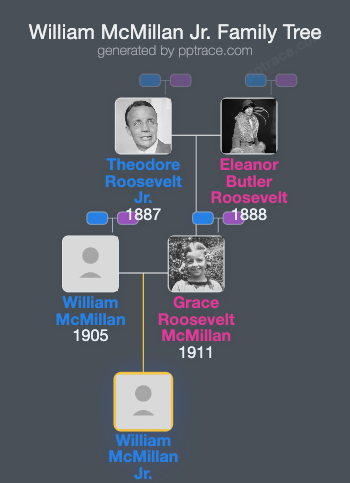 William McMillan Jr. family tree overview