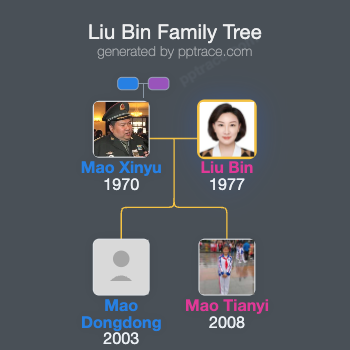 Liu Bin family tree overview