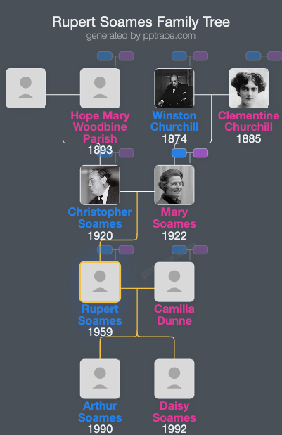 Rupert Soames family tree overview