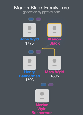 Marion Black family tree overview
