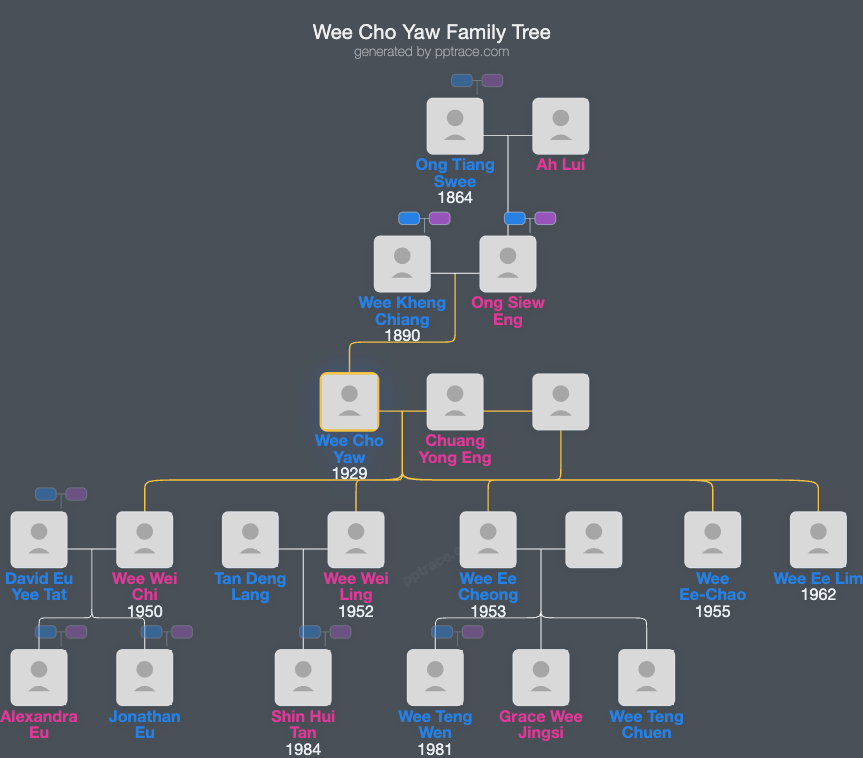 Wee Cho Yaw family tree overview